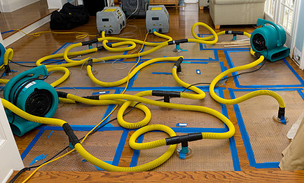 Professional Crawl Space Water Removal technician working in Boyceville, WI